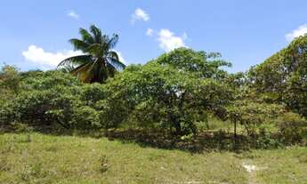 Imagem 7: Vende-se uma granja com 2 ha com rio perene - Povoado de Caiana - Ceará Mirim - RN