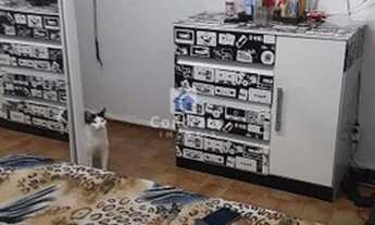 Imagem 4: Apartamento com 2 dorms, Vila Cascatinha, São Vicente - R$ 180 mil, Cod: 1043