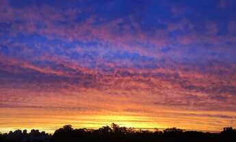 Imagem 6: Apartamento para venda possui 300 metros quadrados com 3 quartos em Real Parque - São Paul