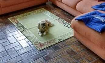 Imagem 6: Sobrado com 2 dormitórios à venda, 190 m² por R$ 730.000,00 - Quinta da Paineira - São Pau