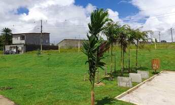 Imagem 2: Loteamento Luar de Camaçari Colorado