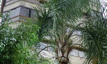 Imagem: Cobertura para Venda - 269.62m², 3 dormitórios