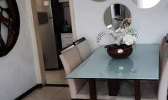 Imagem 7: Jardim das Hortênsias