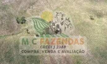 Imagem 4: Fazenda em Jeremoabo