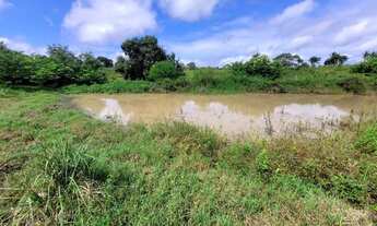 Imagem 3: Chácara com 4 hectare