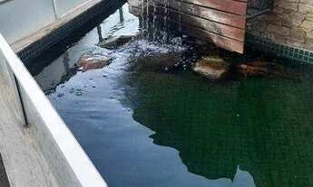 Imagem 4: Apartamento com 3 dormitórios, 125 m² - venda por R$ 530.000,00 ou aluguel por R$ 3.000,00