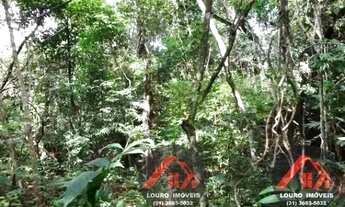 Imagem 5: Sitio 5.000m² a 4km do asfalto Jaboticatubas(Temos varias opções)