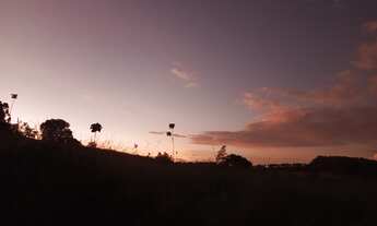 Imagem 5: Sitio em Pinhalão/PR