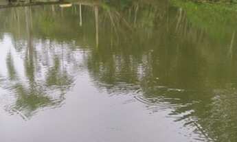 Imagem 6: Chácara sitio Chácara com venda por R$1