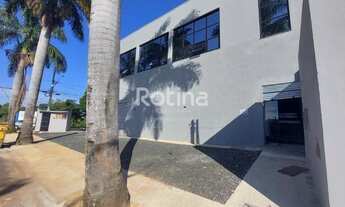 Imagem 2: Cômodo para aluguel, Jardim das Palmeiras - Uberlândia/MG