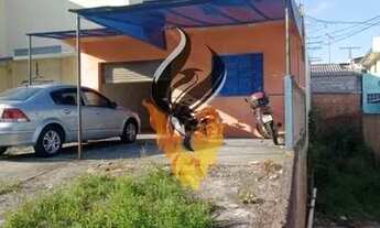 Imagem 6: Colombo - Comercial - Maracanã