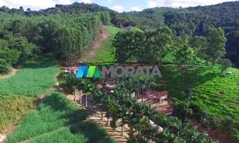 Imagem 5: FAZENDA EMPRESA - REGIÃO VIÇOSA (MG