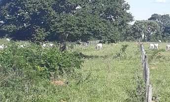 Imagem 3: Fazenda de 125 alqueires em Bom Jardim de Goias-Go