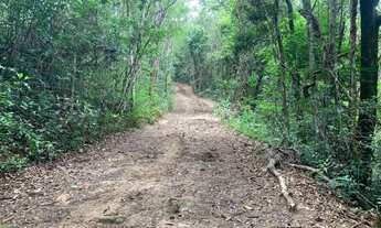 Imagem 5: Fazenda 3ha, com 3km de beira de rio, nascente no terreno, terra de cultivo, Lagoa Santa
