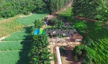 Imagem 4: FAZENDA EMPRESA - REGIÃO VIÇOSA (MG