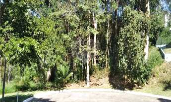 Imagem 5: Terreno à venda em Roseira - SP