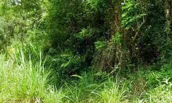 Imagem 5: Área de terra bairro Joaneta, Picada Café.RS REF: 473