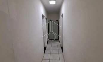 Imagem 5: Comercial GalpãoBarracão em Marília