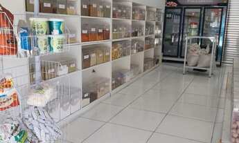 Imagem 3: Passo Loja de Produtos Nordestinos - Av. Nossa Senhora do Sabará