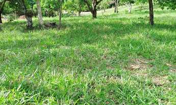 Imagem 7: Chácara em Bonfinópolis