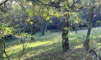 Imagem 5: Terreno à venda, 4600 m² por R$ 2.200.000,00 - Ratones - Florianópolis/SC