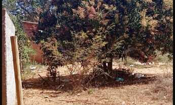 Imagem 4: Vendo lote no núcleo rural sarandy próximo a embrapa e faculdade upis