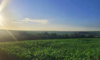 Imagem 2: Chacara, área de terra, sítio em Cafelândia