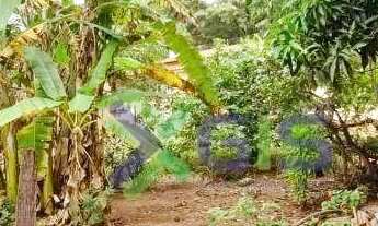 Imagem 3: Chácara com 3 dormitórios à venda, 4446 m² por R$ 890.000 - Estância Jóckei Club - São Jos