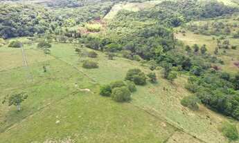Imagem 7: Belíssima fazenda no recôncavo baiano