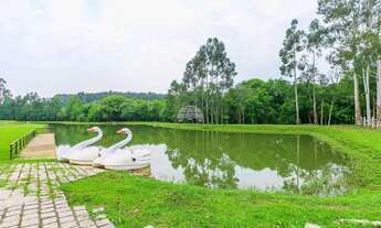 Imagem 3: Vendas Chácara Quitandinha PR