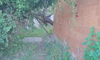 Imagem 7: TERRENO COM MEIA ÁGUA EM REALENGO