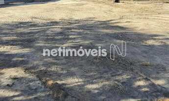 Imagem 4: LOTE PLANO BAIRRO ARBORIZADO