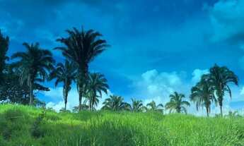 Imagem 5: Fazenda à venda, zona rural, Pires do Rio, GO