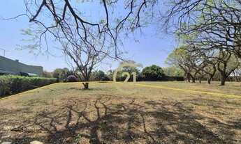 Imagem 3: Terreno à Venda no Condomínio Primavera - Chácara Halter em Indaiatuba/SP - TE1037