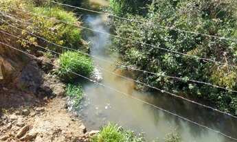 Imagem 7: Chácara de 4.8 hectares ( 1 alqueire