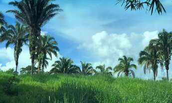 Imagem: Fazenda à venda, zona rural, Pires do Rio