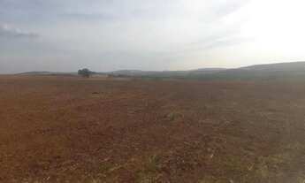 Imagem 6: Situio em cmpo florido 18 alqueirão 4.320.000.00 ( ja