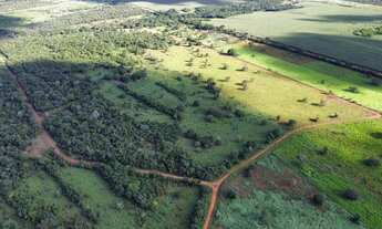 Imagem 4: Chácara 21,78 ha (4,5alqueiro) à Venda ? Divinópolis do Tocantins