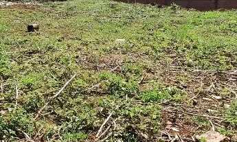 Imagem 5: Terreno 200m² Jardinópolis