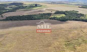 Imagem 4: Fazenda 338 Alqueires (1.635 hectares) Alexânia - GO