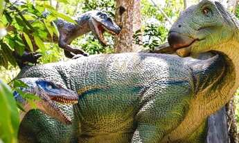 Imagem 4: Lançamento Exclusivo Novembro 2025 Viva o Novo Capítulo da Sua Vida em Buenos Aires, nas