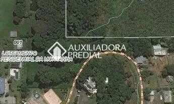 Imagem 4: Terreno à Venda na linha 40 em Caxias do Sul