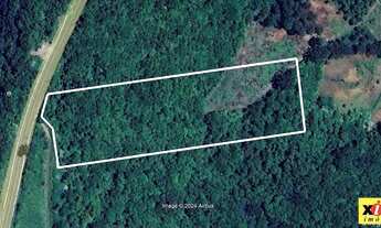 Imagem: Sítio / Chácara para Venda em Nova Petrópolis