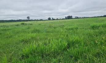 Imagem 2: FAZENDA À VENDA ESTADO DE GOIÁS (GO