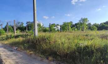 Imagem 2: Terreno no bairro Pedras próximo ao Francês