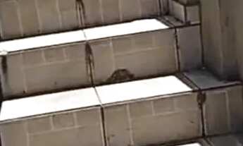 Imagem 7: Alugo parte Superior de Sobrado