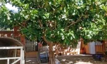 Imagem 6: Casa no rio Araguaia região da viúva