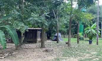 Imagem 5: Chácara pesqueira com 5.5 hectares de porteira fechada no barranco alto 2