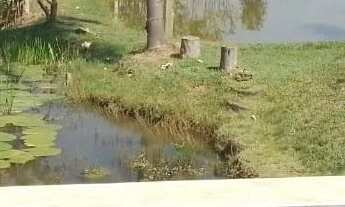 Imagem 3: Chácara Condominio Jd das Flores-Distrito do Porto-Capela do Alto