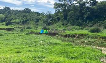 Imagem 2: FAZENDA À VENDA - 135 HECTARES - RIO CASCA (MG